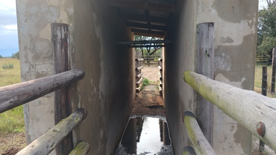 Commercial Property for Sale in Bathurst Rural Eastern Cape